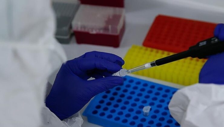 60 milyon kadın rahim ağzı kanser riski altında