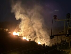 Aydın’ın Nazilli İlçesinde Orman Yangını Başladı