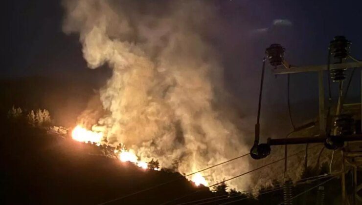 Aydın’ın Nazilli İlçesinde Orman Yangını Başladı