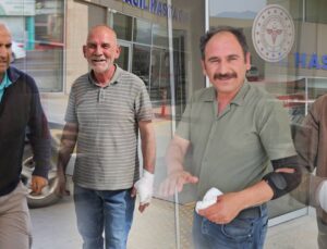 Bakan açıkladı, işte “acemi kasap” bilançosu