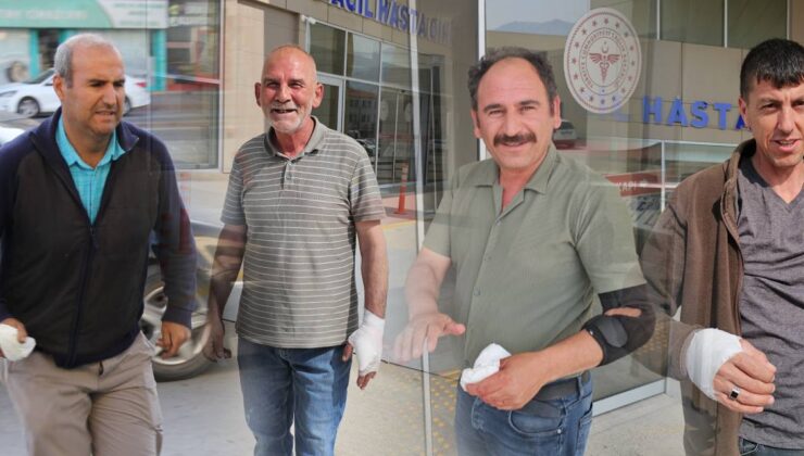 Bakan açıkladı, işte “acemi kasap” bilançosu