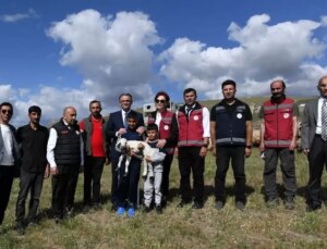 Koyunculuk Projesi ile Çiftçilere Destek