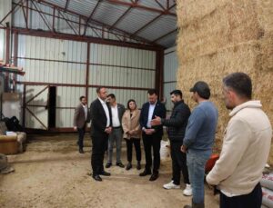 Başkan Dere, şap hastalığından mağdur olan aileleri yalnız bırakmadı