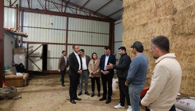 Başkan Dere, şap hastalığından mağdur olan aileleri yalnız bırakmadı