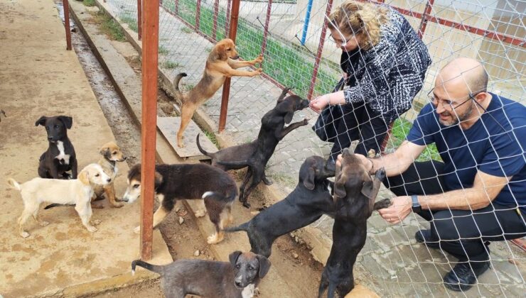 Germencik Sokak Hayvanları Rehabilitasyon Merkezi açılış için gün sayıyor