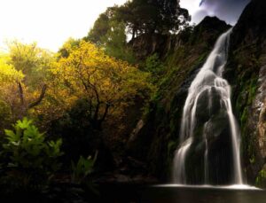 Manisa’da sonbahar manzaraları Karadeniz yaylalarını aratmadı