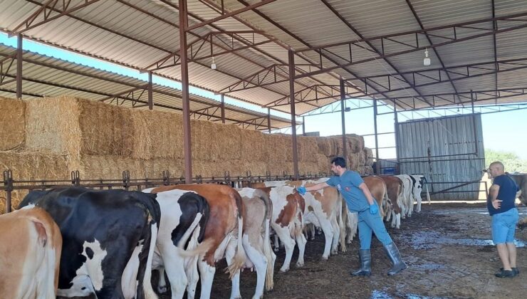 Nazilli’de 13 mahalle karantinaya alındı