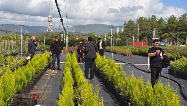 Özbek ormancılar Muğla’da incelemelerde bulundu