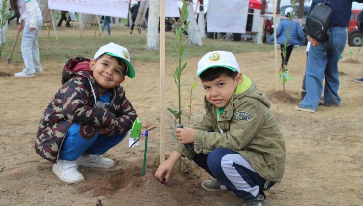 Aydın’da 7 bin fidan toprakla buluştu
