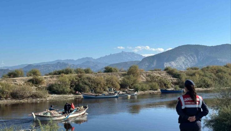 Bafa Gölü’nde hayvanların yaşam alanları kontrol edildi