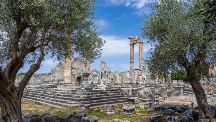 Başkan Gençay: “Zeytin ağacı Didim’in hafızasıdır”