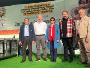 Çine Memecik Zeytini Festivali’ne yoğun ilgi