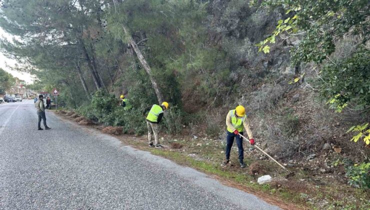 Milli Park’ta risk azaltma çalışmaları sürüyor
