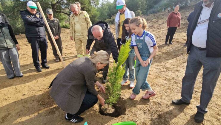 Önce öğrendiler sonra fidanları diktiler
