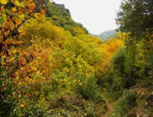 Sonbaharın güzelliğine bürünen Koçak Kanyonu’na dikkat çektiler