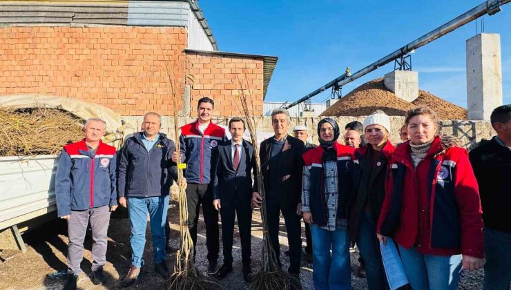 Bozdoğan’da 8 bin 700 adet fidan dağıtıldı