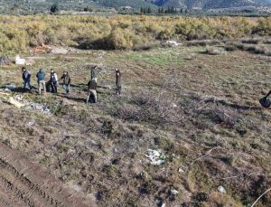 Büyük Menderes Deltası’nda çevre temizliği seferberliği