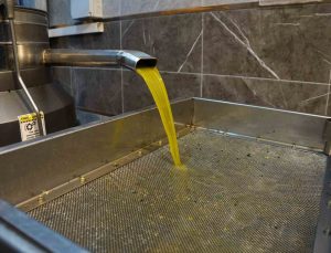 Zeytinyağı fiyatları belli oldu, fiyatlarda artış yaşandı