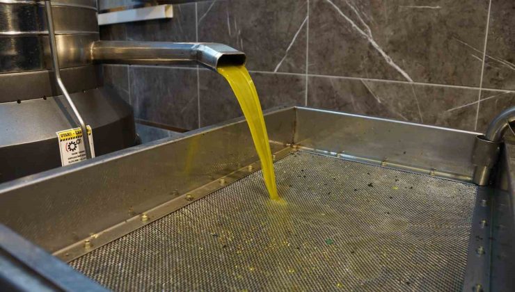 Zeytinyağı fiyatları belli oldu, fiyatlarda artış yaşandı