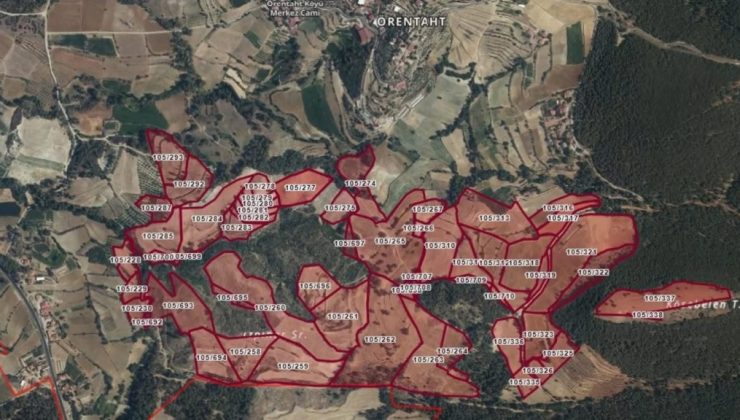 Bozdoğan’da Zafer!