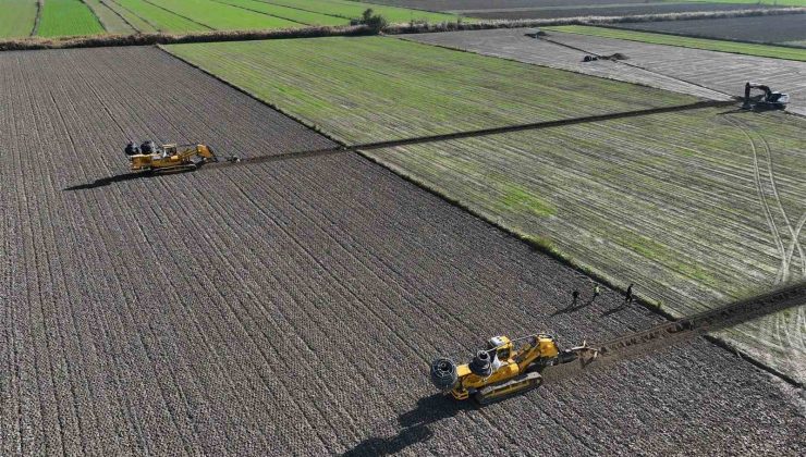 Aydın’da ürünlerin verimliliği artacak
