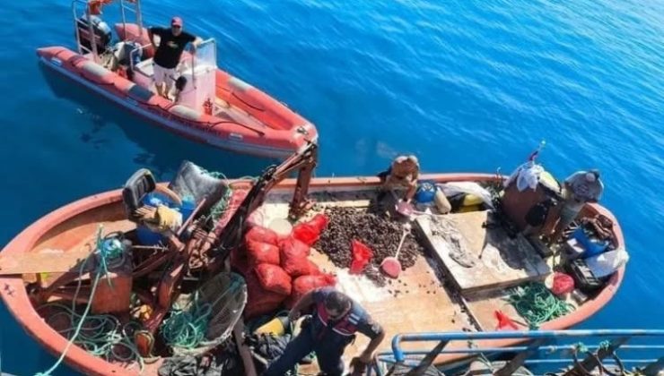 Aydın’da yasa dışı avcılığa geçit verilmiyor: “Bir yılda 5 bin denetim yapıldı”