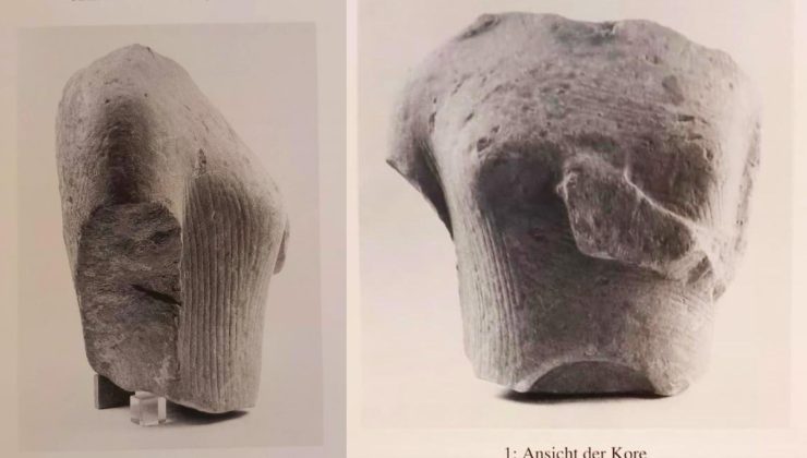 Doğaseverler Yılancıburnu’nun önemine dikkat çekti