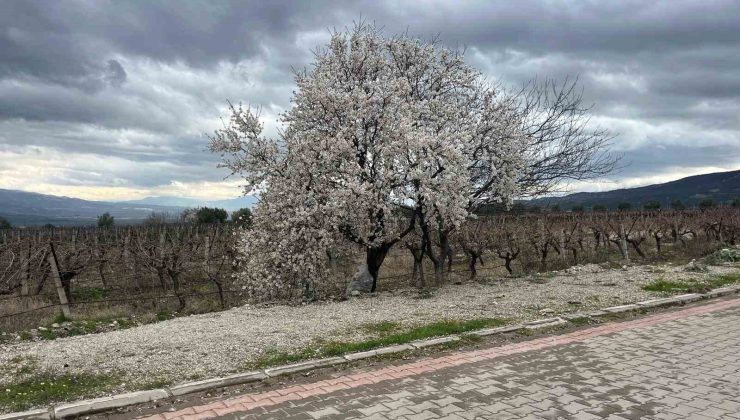 Bahar renkleriyle geliyor