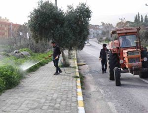 Bozdoğan’da yabani ot mücadelesi