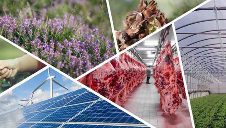 Denizli’de tarımsal kalkınmaya 82 milyonluk hibe desteği