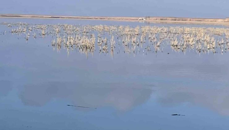 Her damlanın Eber Gölü’ne ulaşması için topyekun mücadele