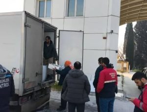 Aydın’da nakil belgesiz 290 kasa balığa el konuldu