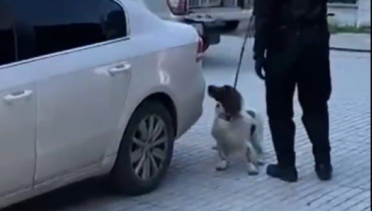Narkotik operasyonunda 6 kilo esrar ele geçirildi