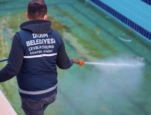 Didim’de vektörle mücadele dört mevsim sürüyor