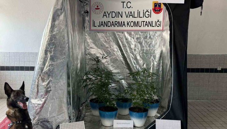 Jandarma narkotik affetmedi