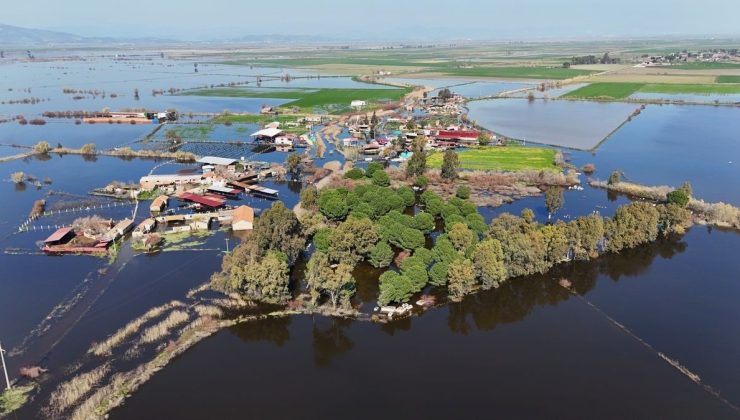 Kalcık Mahallesi, Venedik’e döndü