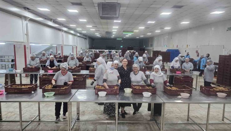Kaymakam Kan: “Kadınlar yine kadınların hayatını kolaylaştırıyor”