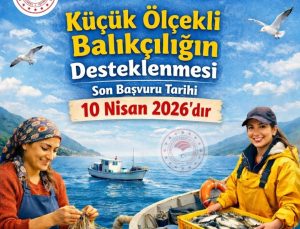 Aydın’da balıkçılık desteği başvuruları için son çağrı