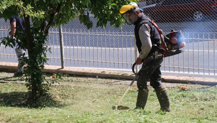 Bozdoğan’da çevre düzenleme çalışmaları sürüyor
