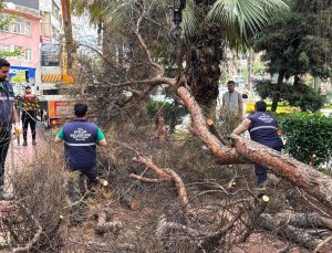 Efeler Belediyesi parkları güvenli hale getiriyor