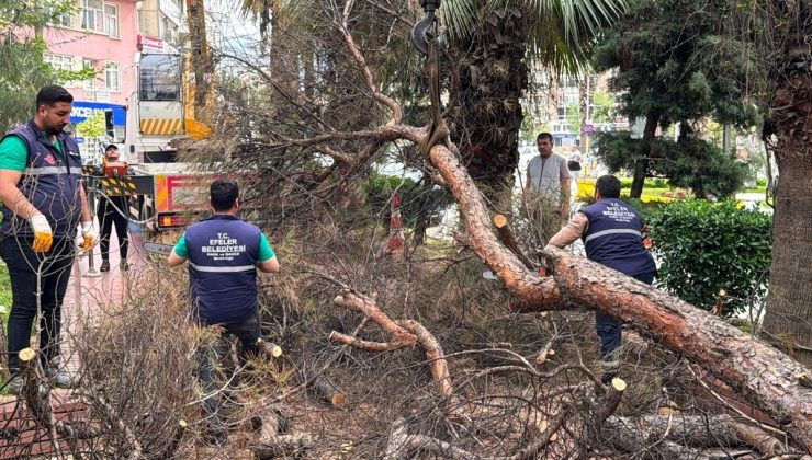 Efeler Belediyesi parkları güvenli hale getiriyor