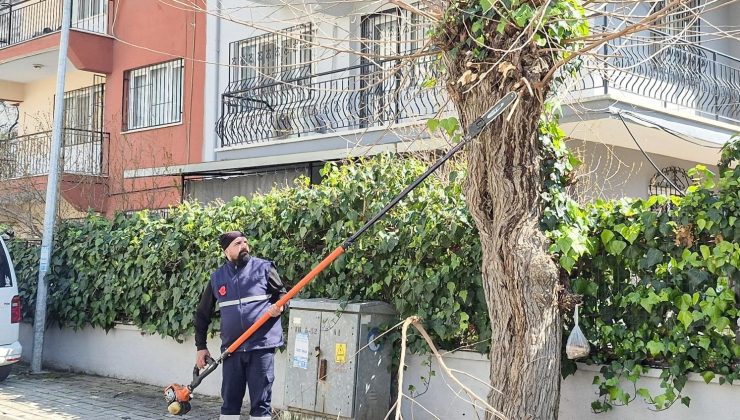 Efeler Belediyesi’nden tarihi mahallelerde çevre düzenlemesi