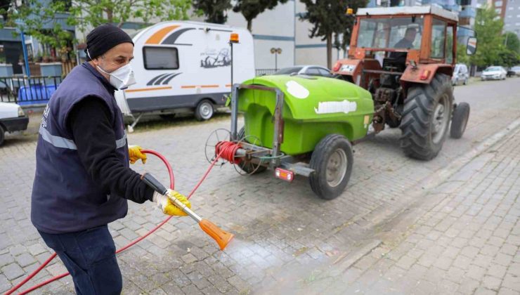 Efeler Belediyesi’nden yabani ot temizliği