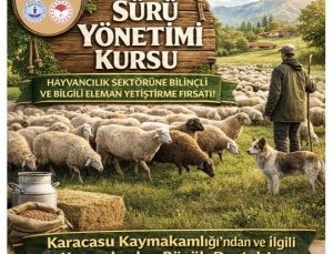 Karacasu’da sürü yönetimi kursu başlıyor