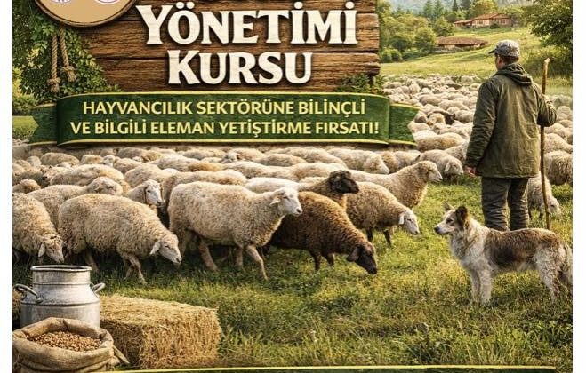Karacasu’da sürü yönetimi kursu başlıyor