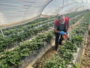 Köşk’ten Sultanhisar’a çapraz denetim