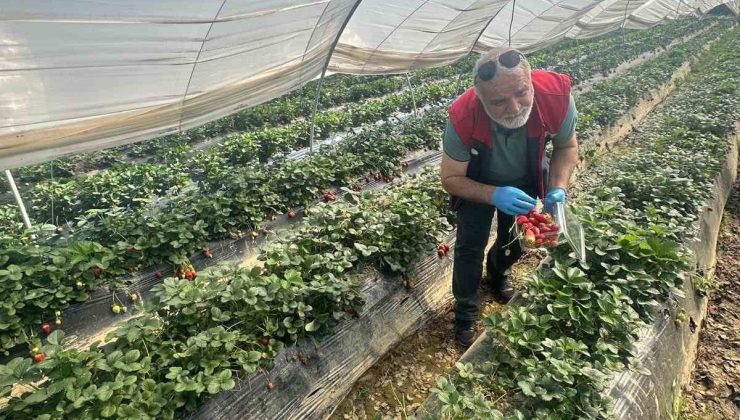 Köşk’ten Sultanhisar’a çapraz denetim