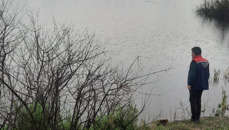 Söke’de sel sonrası tarım arazilerinde hasar tespiti sürüyor