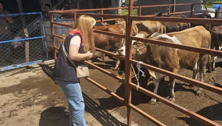 Aydın’da Kurban Bayramı denetimleri aralıksız sürüyor