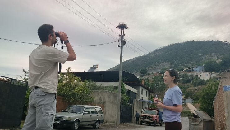 Aydın’da leylek sayımları tamamlandı